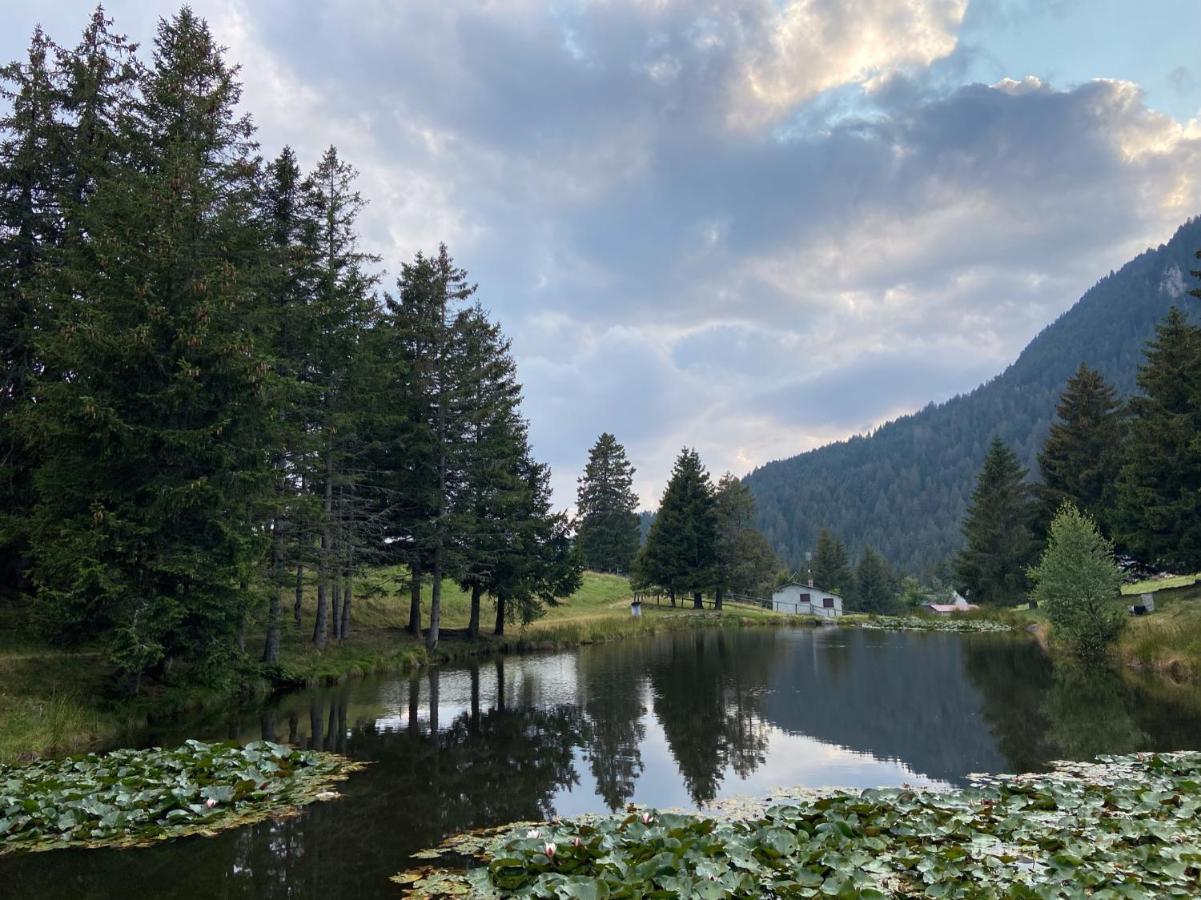 Do-Minus Boutique Home & Private Spa Ca Pedrot Mountain Cottage Monte Carasso Eksteriør billede